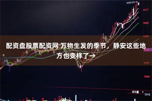 配资盘股票配资网 万物生发的季节,静安这些地方也变样了→